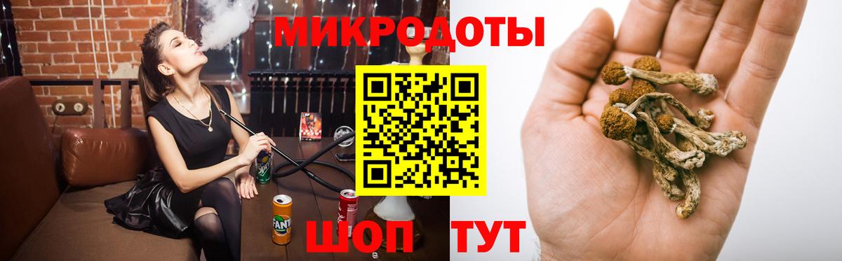 где продают   Галлюциногенные грибы Psilocybine cubensis  Вход с VPN  Галлюциногенные грибы Psilocybine cubensis  Скопин 
